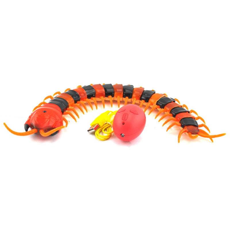 heya Fruit Toys Set, Yawltoys